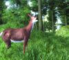 ElderScrollsIVOblivion 56